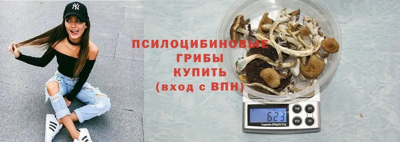 Галлюциногенные грибы Cubensis  Кострома 